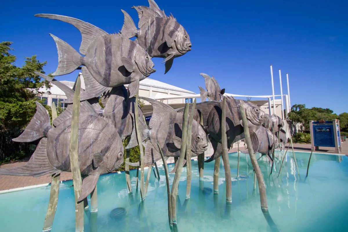 A whimsical outdoor scene featuring a sculpture of fish surrounded by lush greenery and water reflections, offering a hint of the local artistic and natural charm. The setting suggests opportunities for art appreciation and outdoor discovery right in the neighborhood.