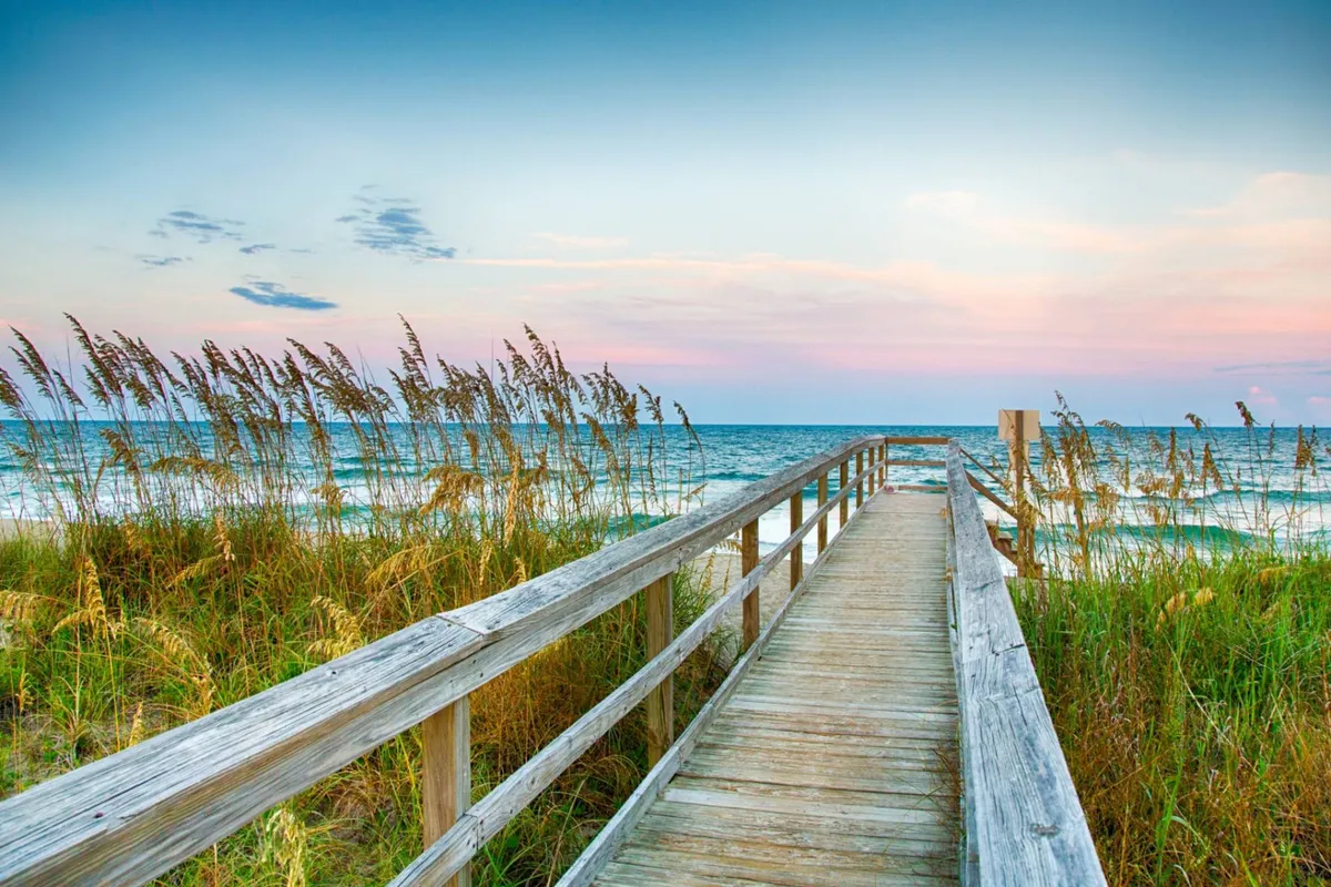 A serene scene featuring a wooden boardwalk flanked by dune grass, opening up to a wide ocean horizon under a big sky. The environment is peaceful and ideal for relaxed walks or sunset viewing with a pet.