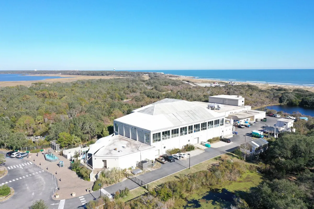 A large coastal building stands prominently with lush greenery in the foreground and the sparkling ocean stretching beyond. The scene is serene, with plenty of open space and a sense of tranquility. The vantage point gives a sense of privacy and exclusivity, all while offering breathtaking views of the waterfront.